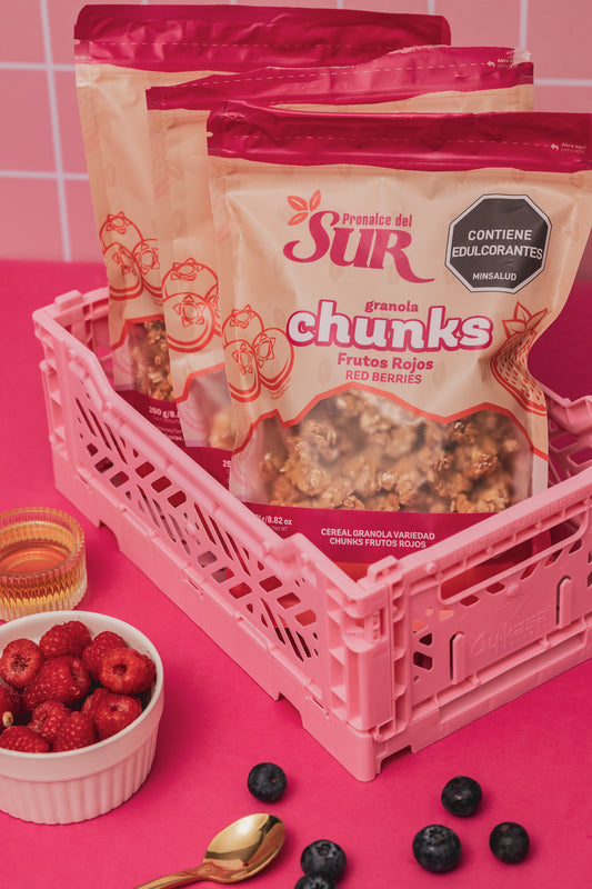 Granola Chunks frutos rojos 250gr