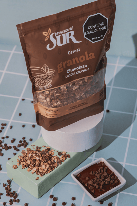 Granola Chocolate x350gr