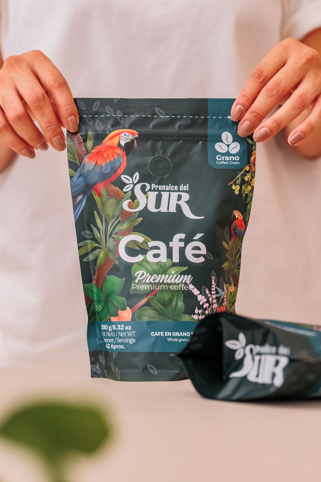☕Café en Grano